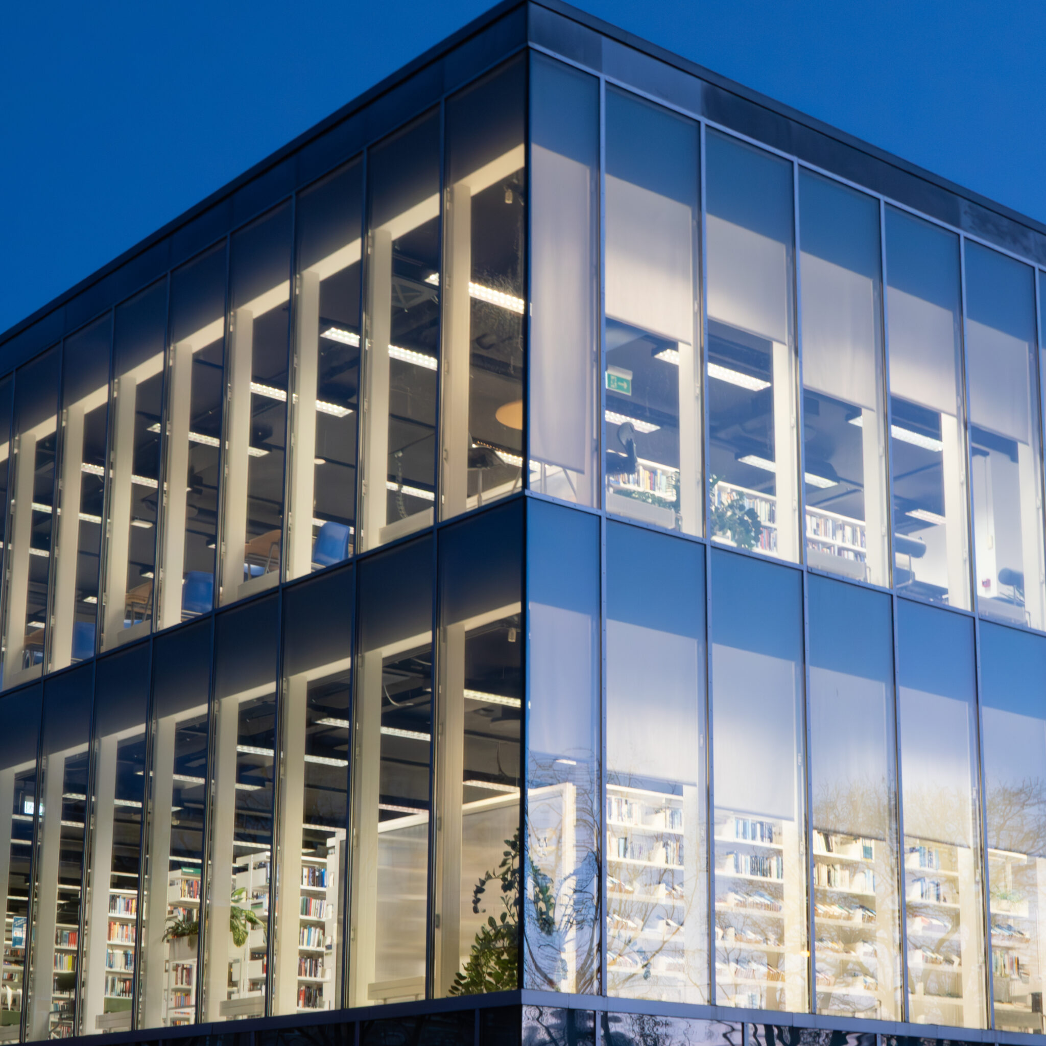 Moodne raamatukoguhoone klaasseinte ja valgustatud riiulitega.