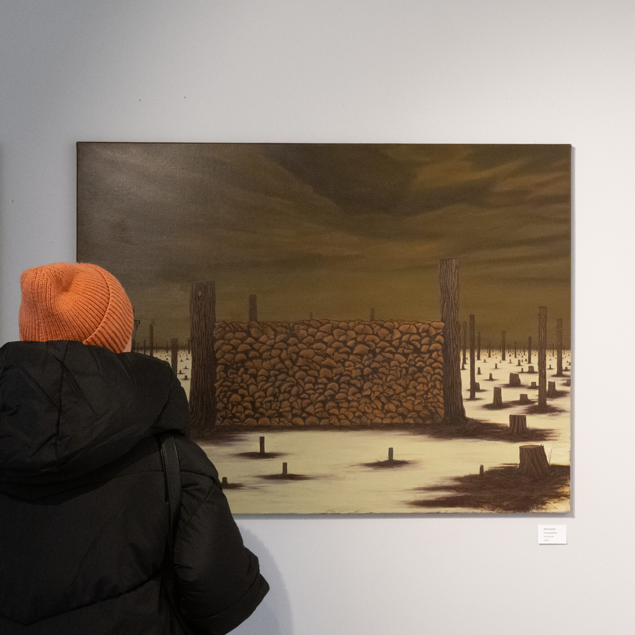 Oranži mütsi ja musta jopega inimene vaatab kiviseina ja kändude maali.