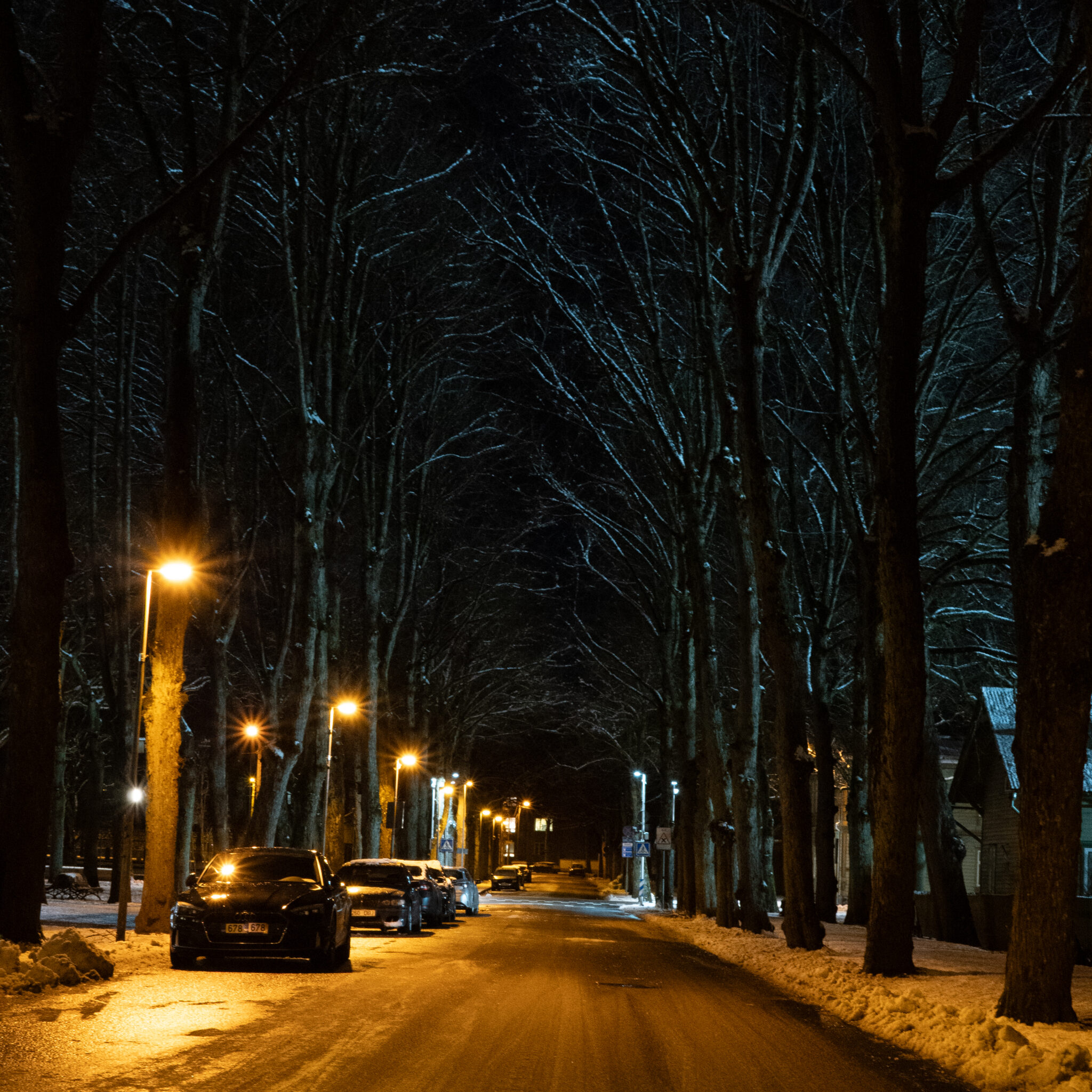 Lumine öine tänav paljaste puude ja tänavavalgustitega.