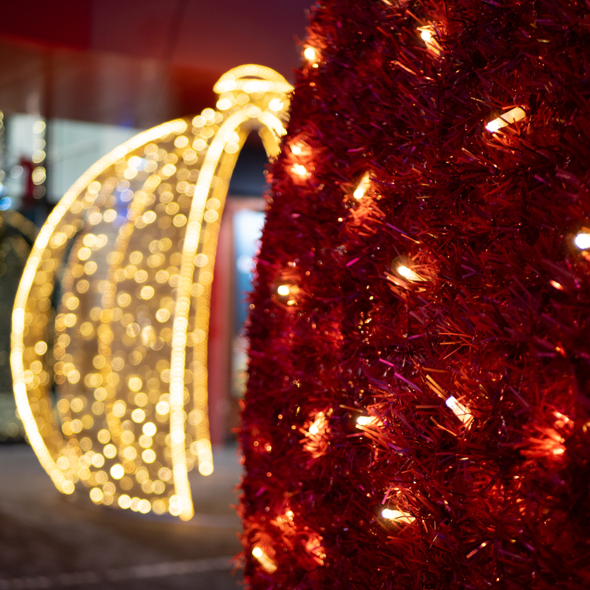 Jõulutuled ja kardkaunistused.