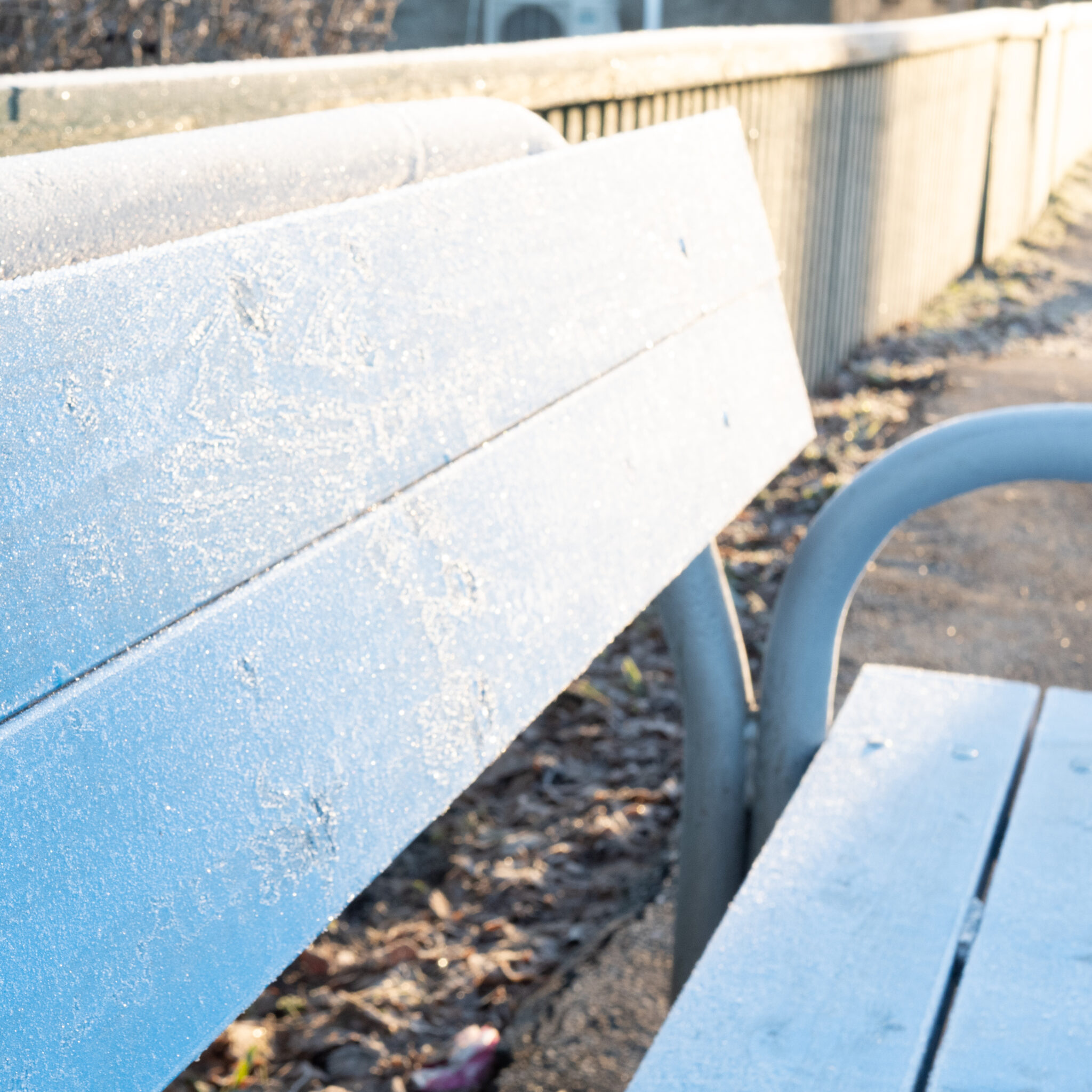 Härmatisega kaetud pingid pargis.