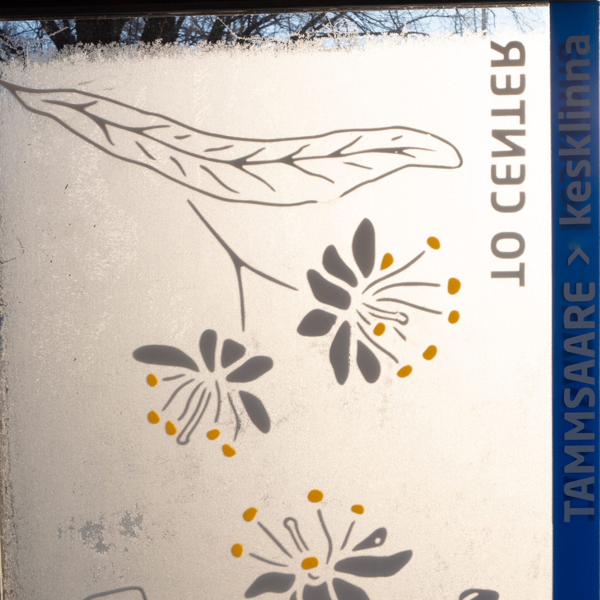 Härmas aken pärnalehe ja lillemustriga.