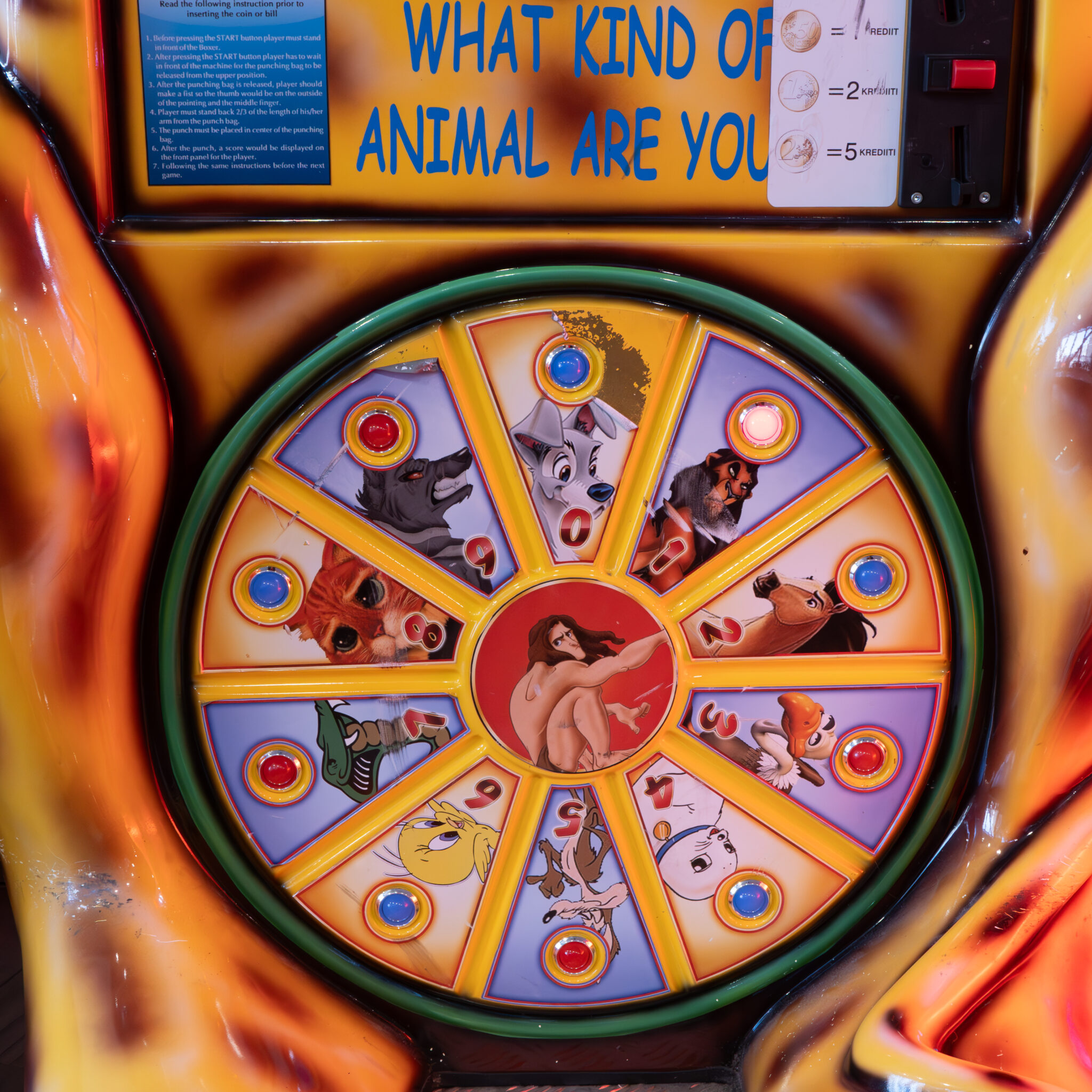 Pöörlev mänguketas küsib: mis loom sa oled?