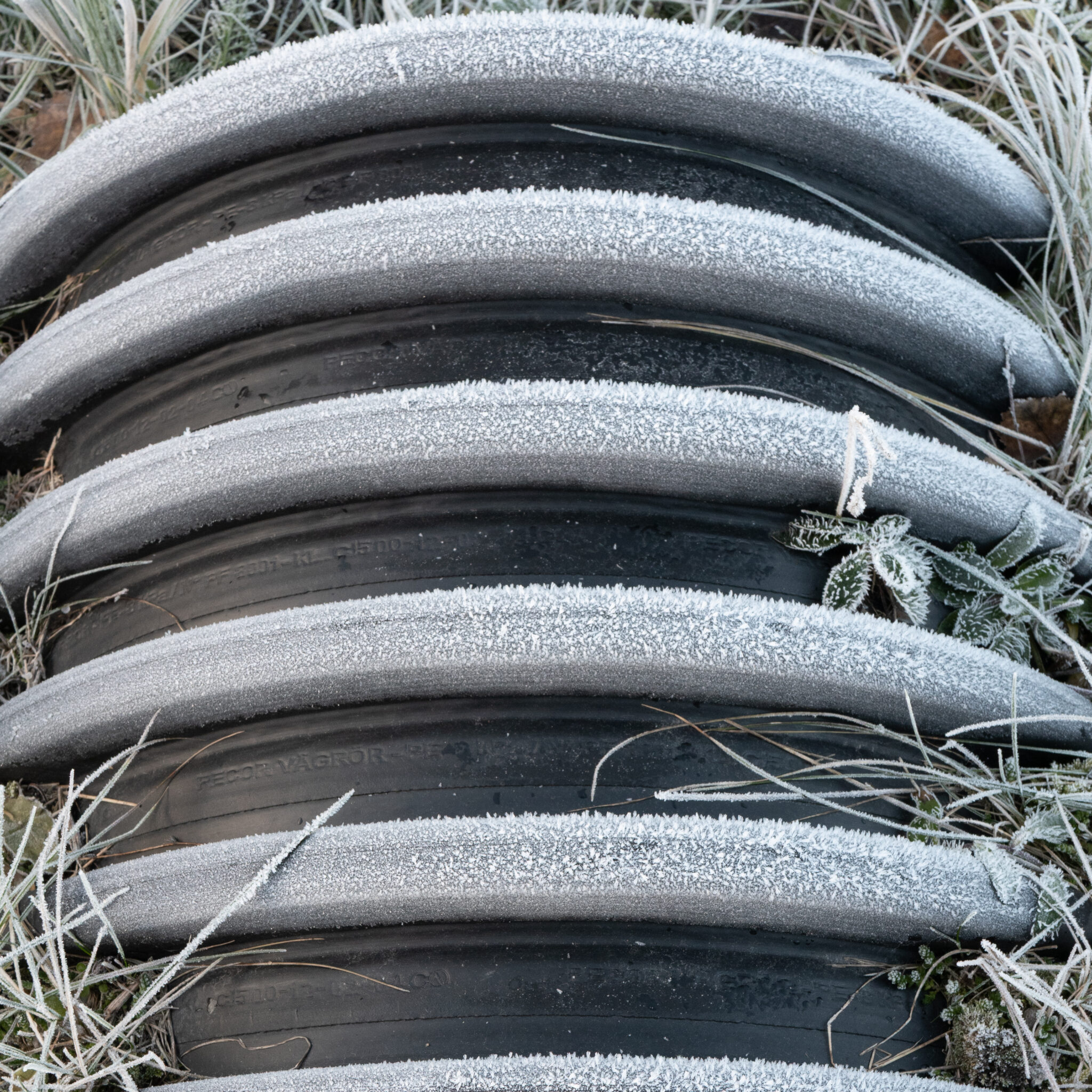 Rida jäätunud rehve põllul.