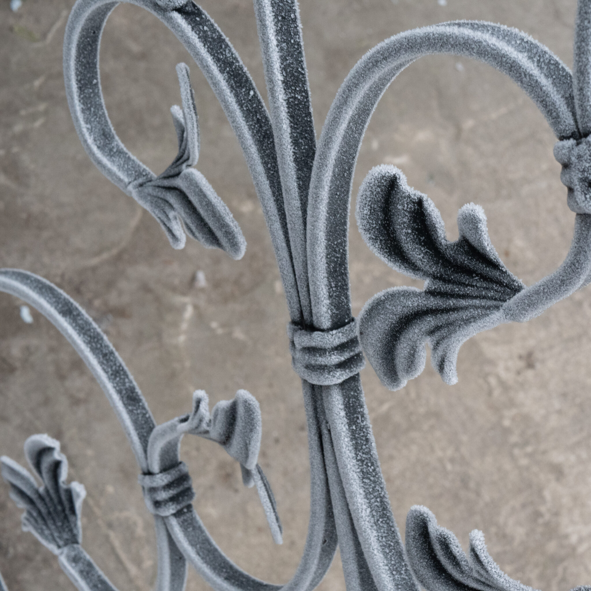 Härmatisega kaetud sepisaed keerukate mustritega.