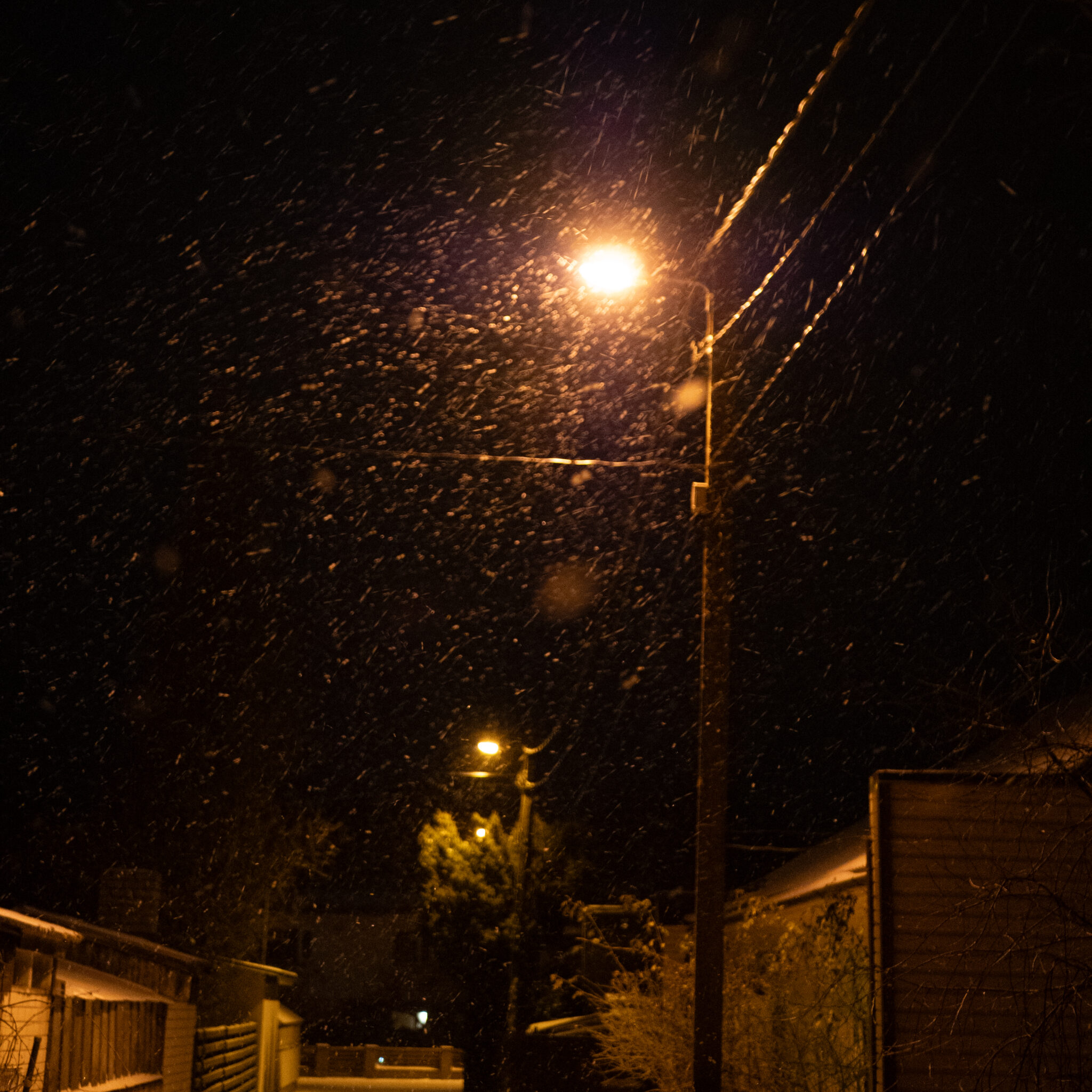 Tänavalatern valgustab öist lumesadu.