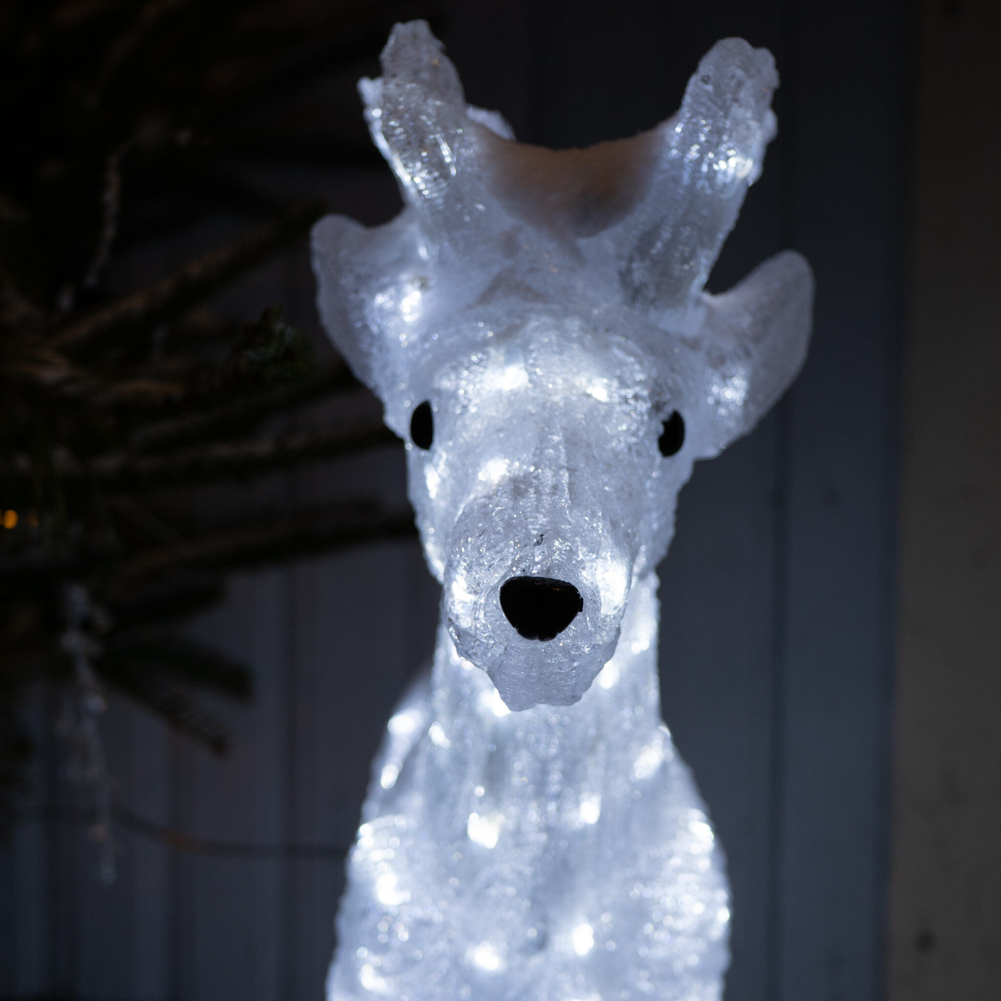 Valgete tuledega helendav põhjapõtradekoratsioon.