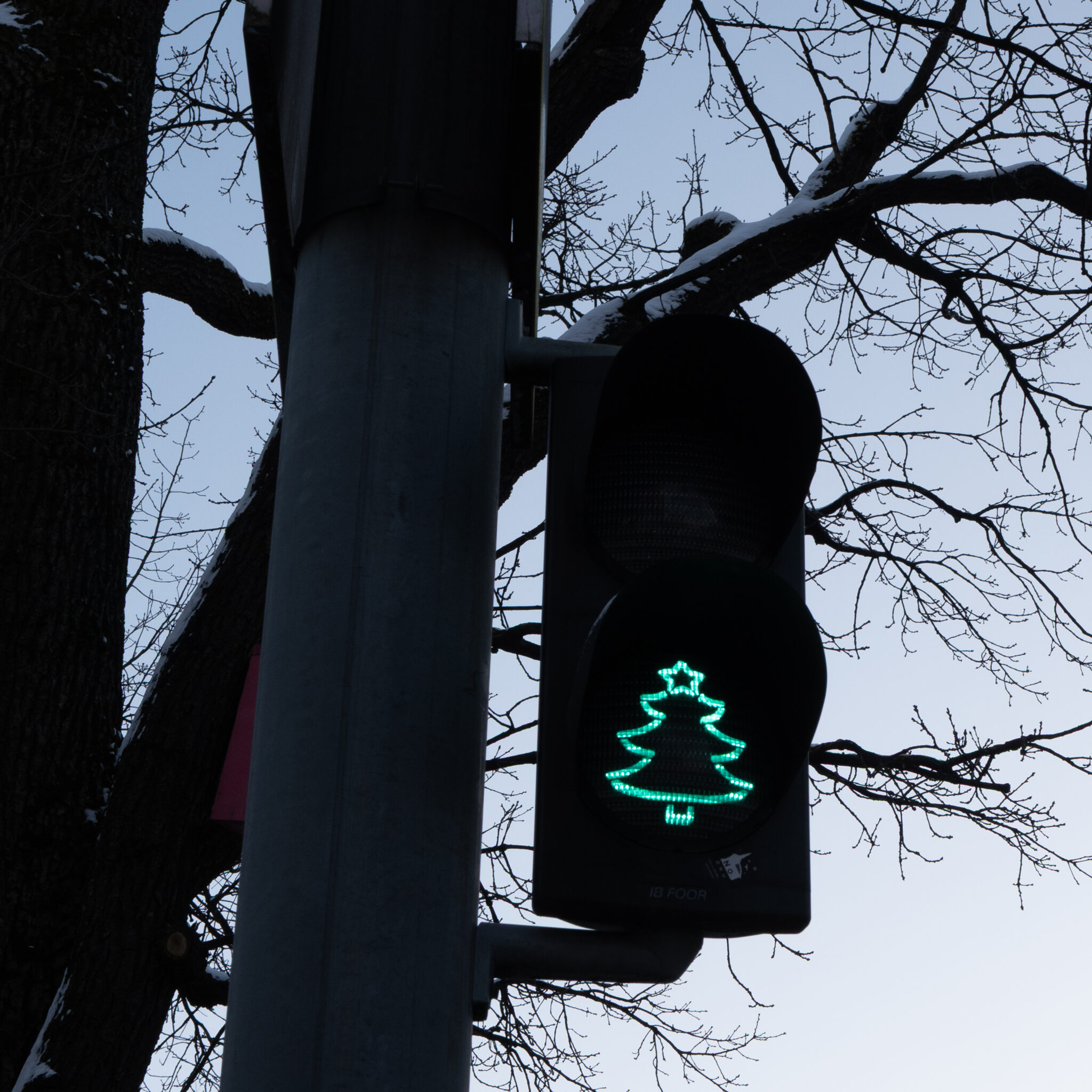 Jõulupuu kujuline foor süttib videvikus.