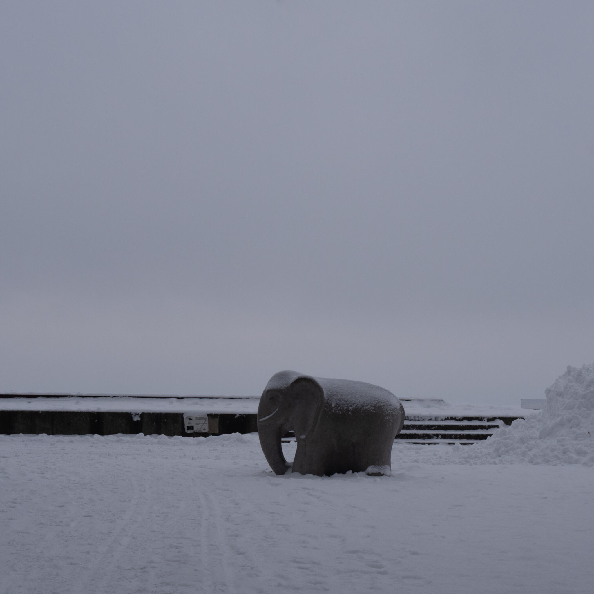 Lumega kaetud elevandiskulptuur talvisel maastikul.