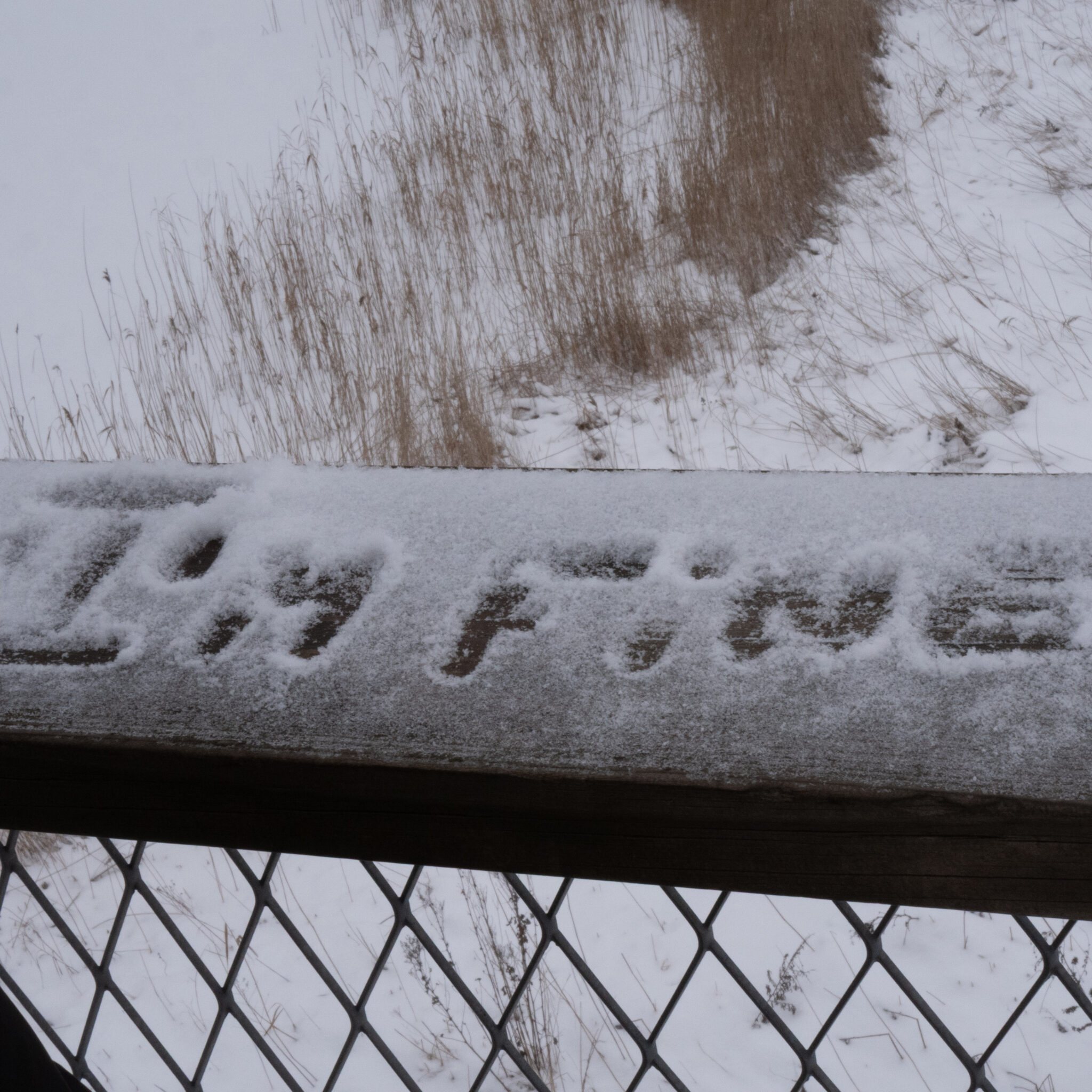 Lumi aial, taustal rohi.