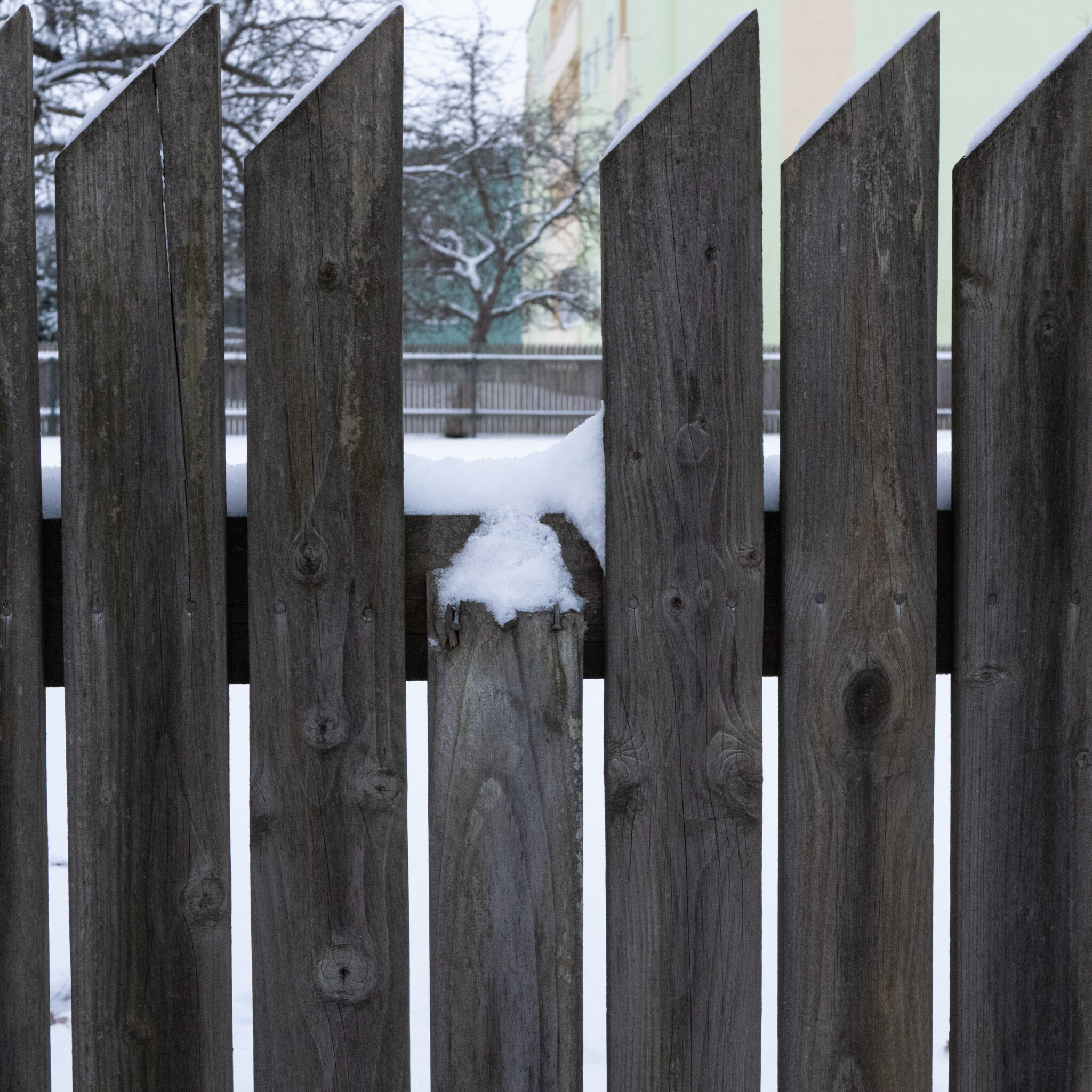 Lumega kaetud puidust aed.