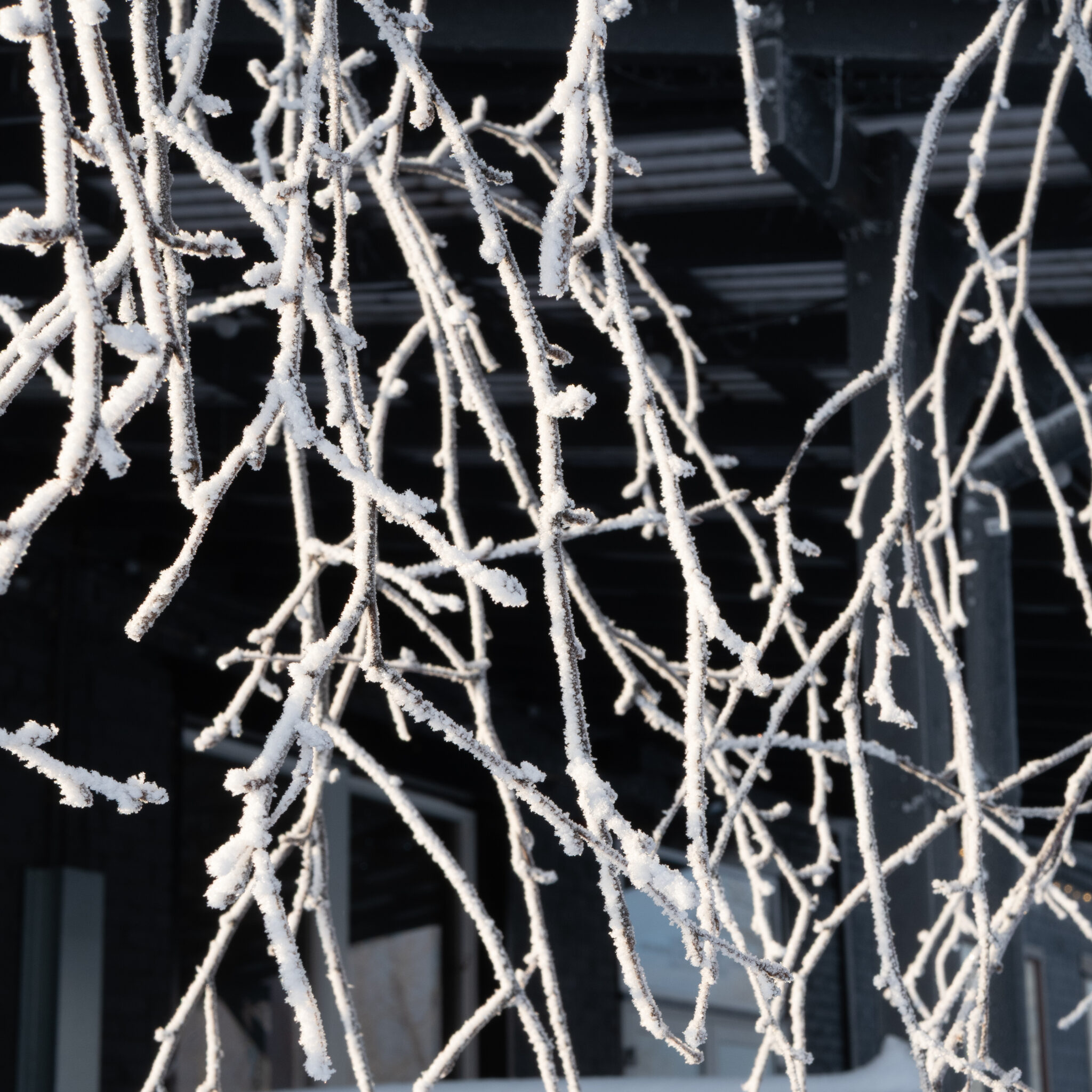 Jäätunud oksad tööstusliku tausta ees.