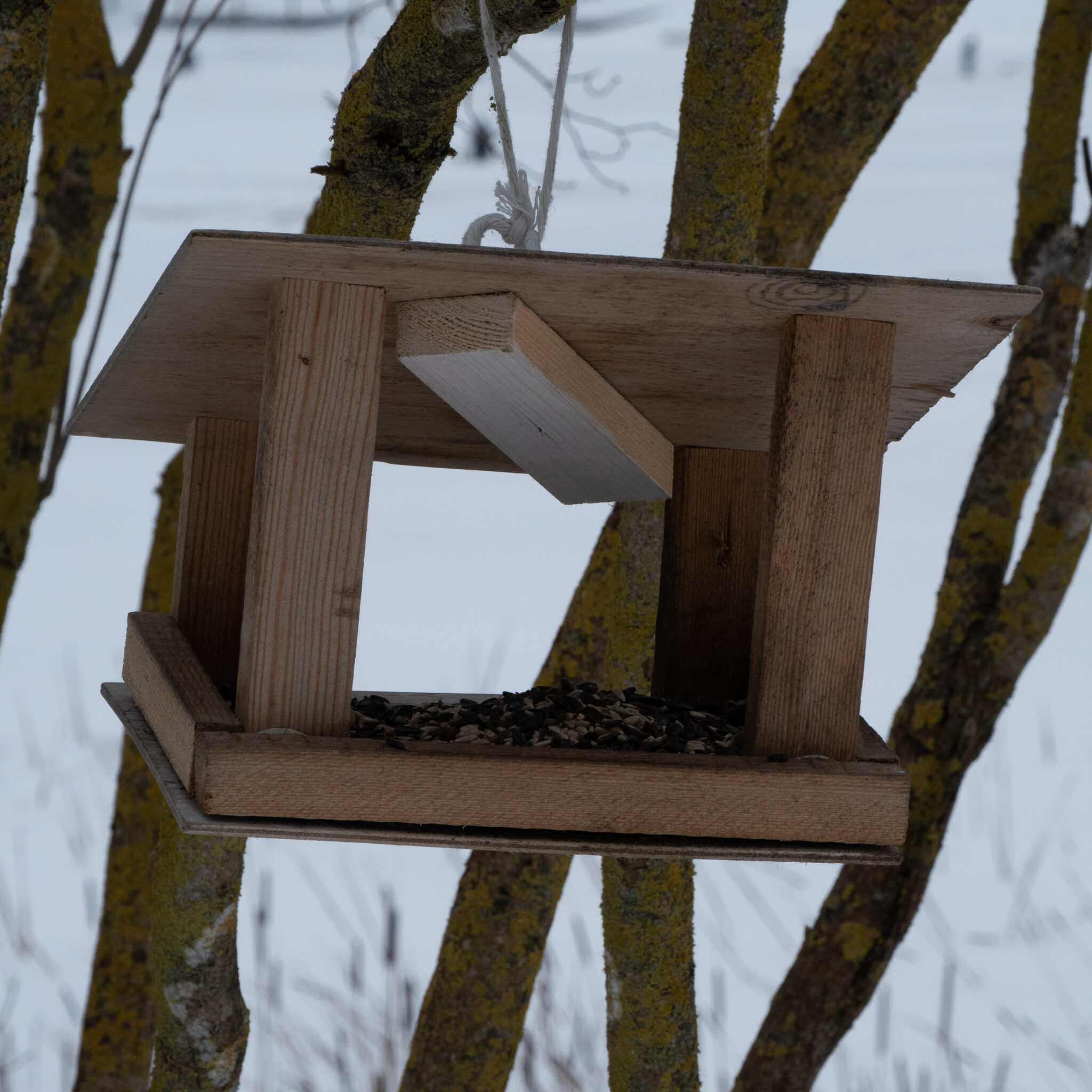 Puidust linnusöögimaja ripub puu küljes lumisel maastikul.