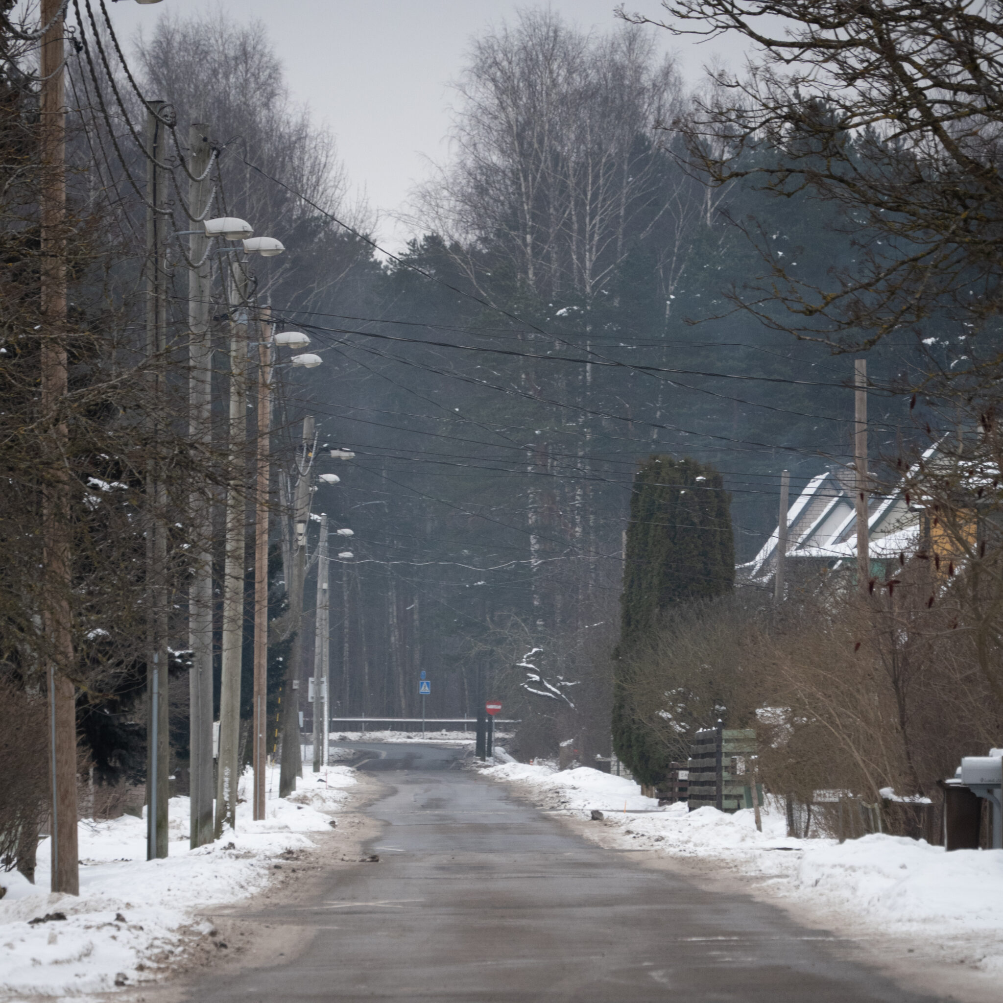 Lumine tänav telefonipostide ja puudega.