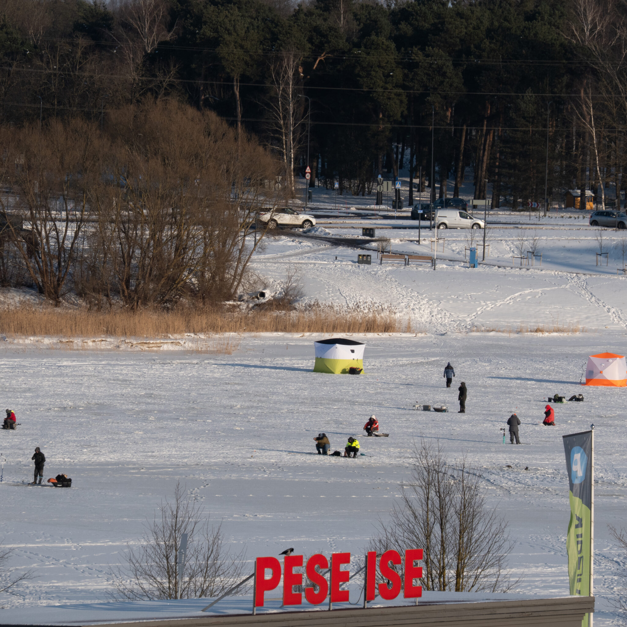 Inimesed püüavad jäätunud järvel kala, ümberringi puud ja autod.