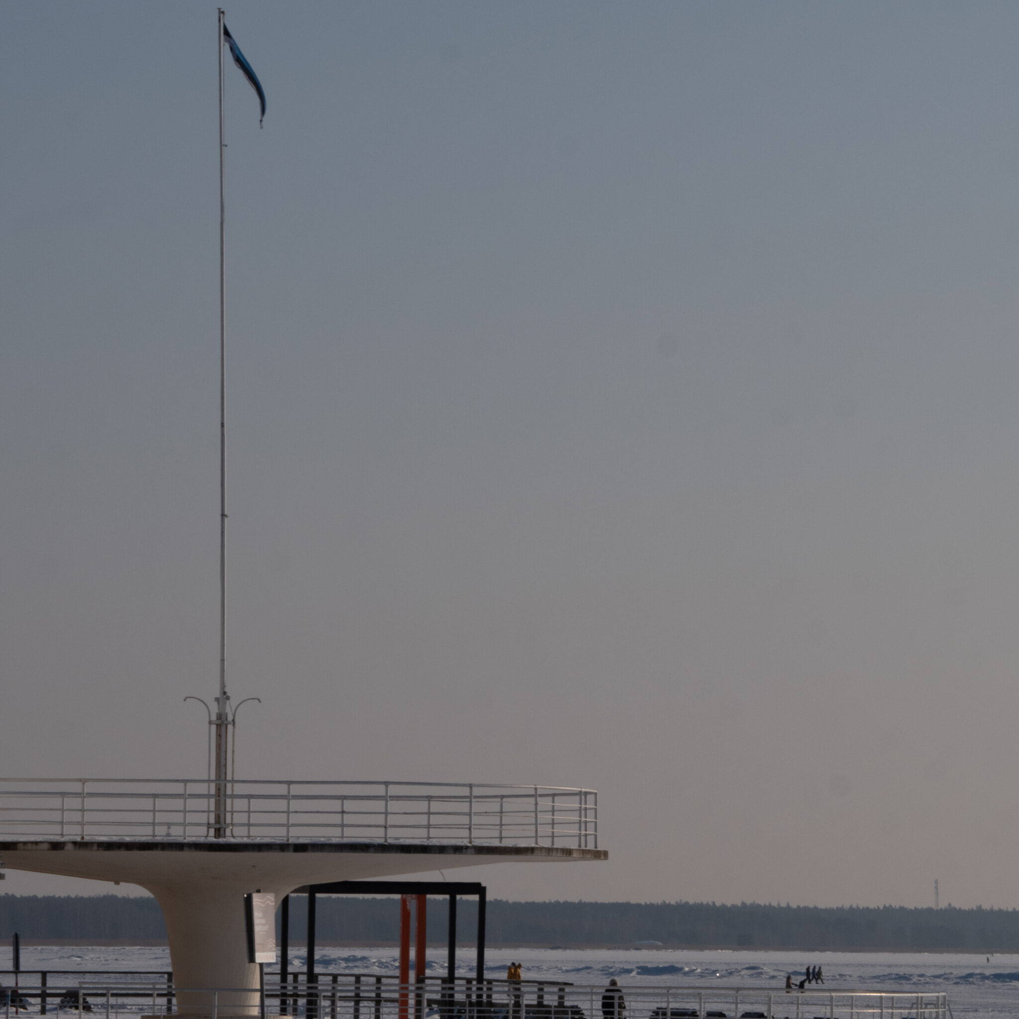 Lipuga lipumast kail lumise vaate kohal.