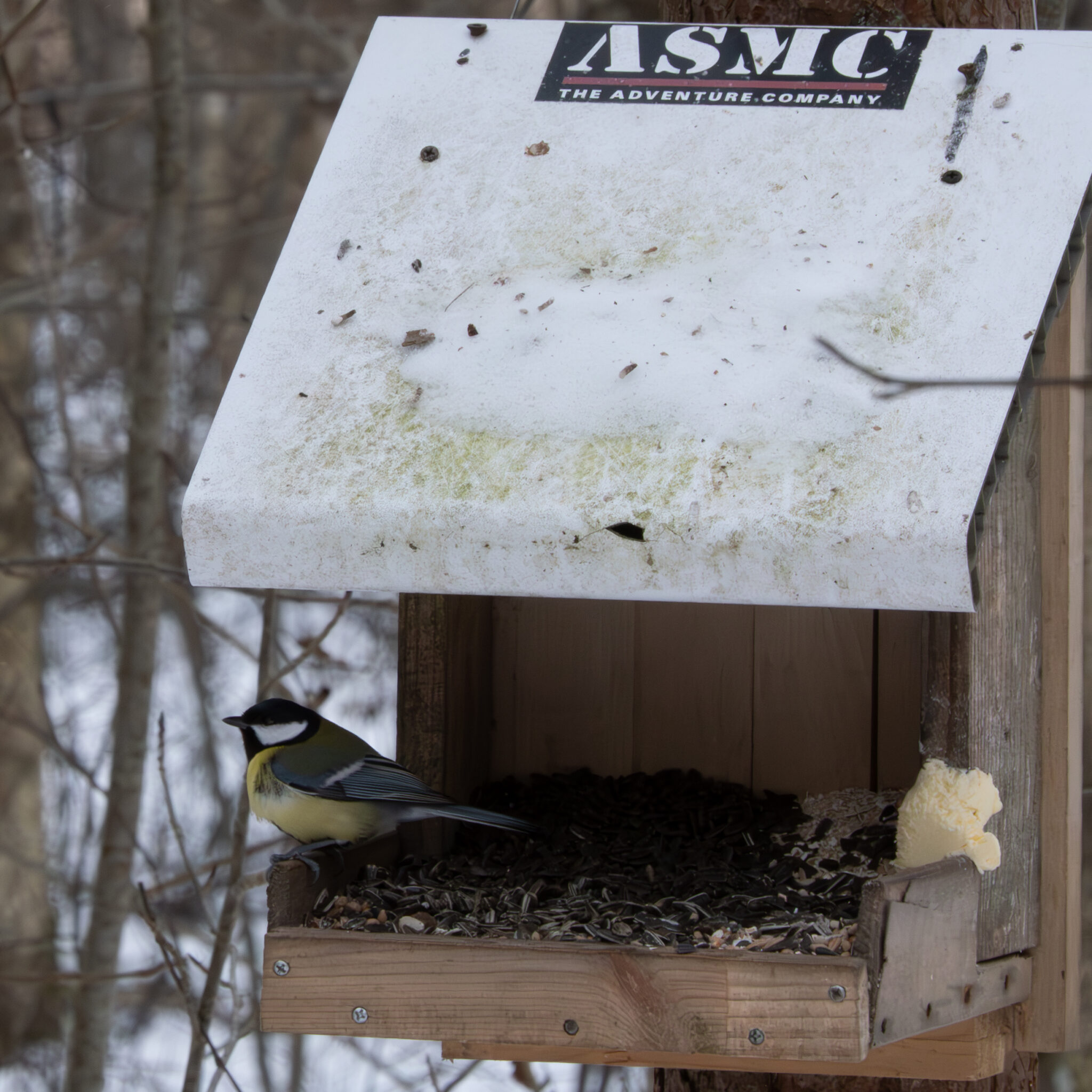 Lind istub linnumajal, kus on seemned ja või.