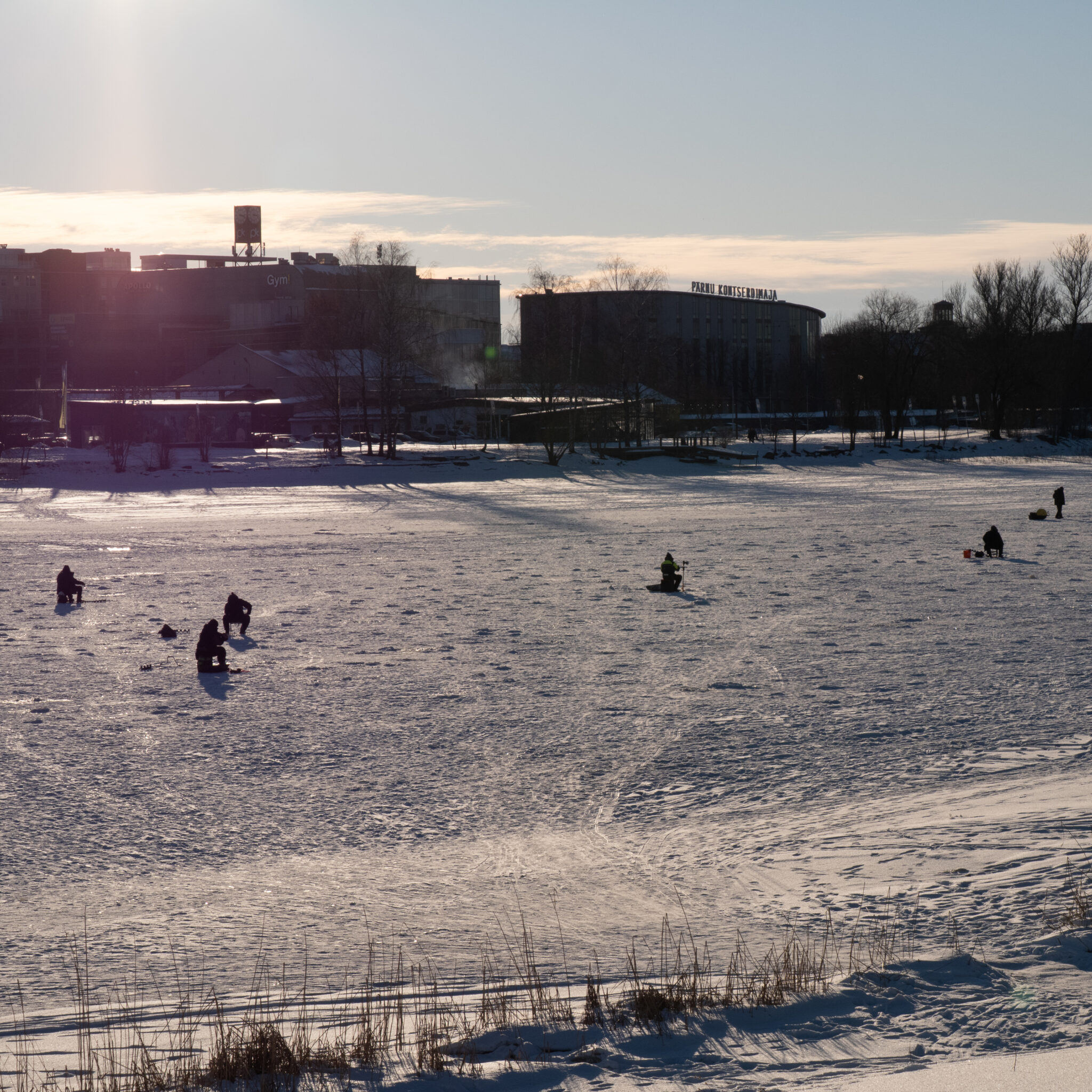 Inimesed püüavad jäätunud järvel kala, taustal hooned.