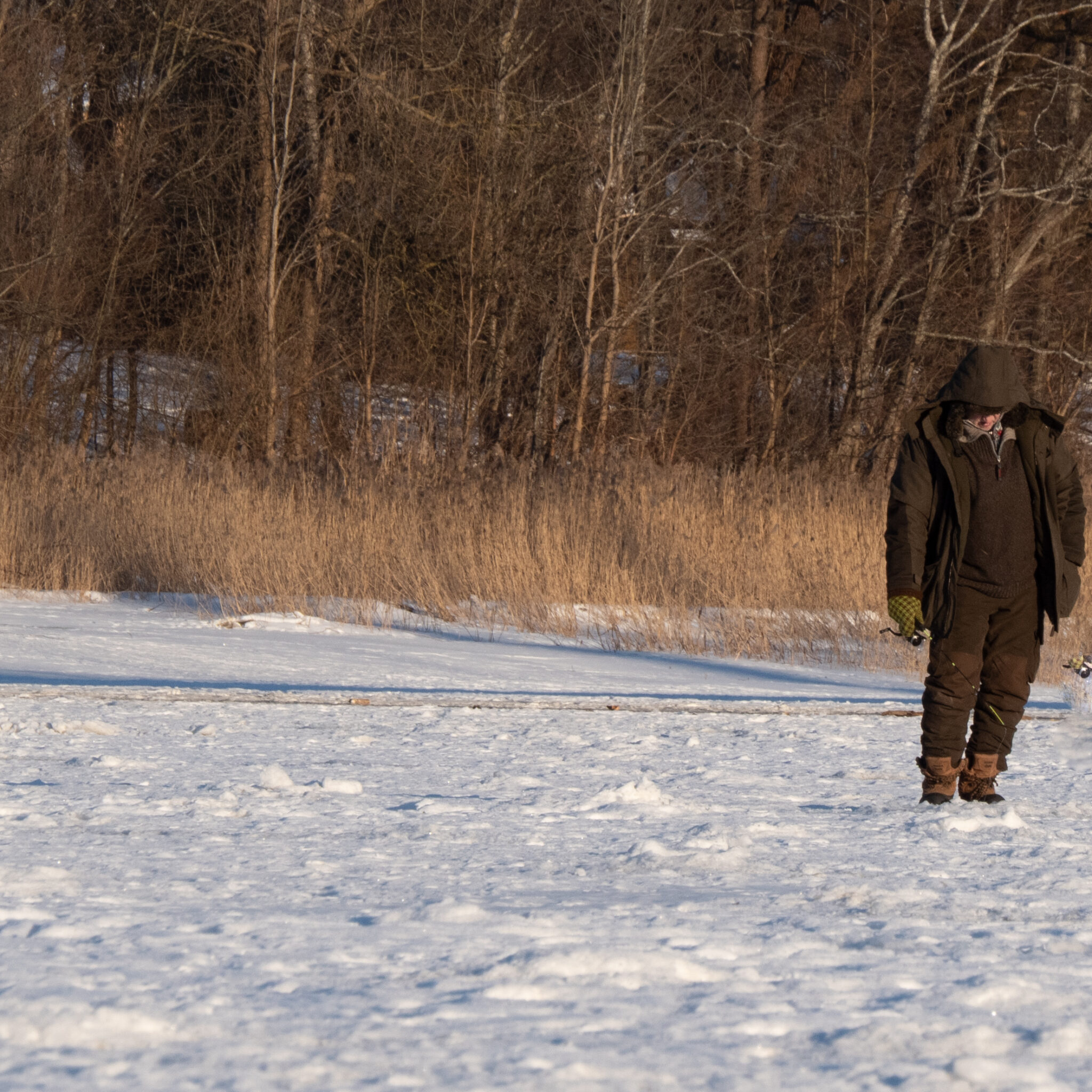Talveriietes mees kõnnib lumisel väljal.