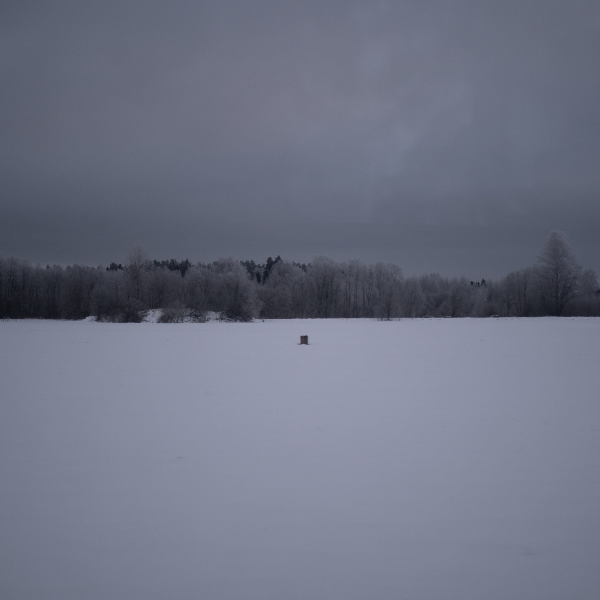 Lumine maastik üksiku puitrajatisega kauguses.