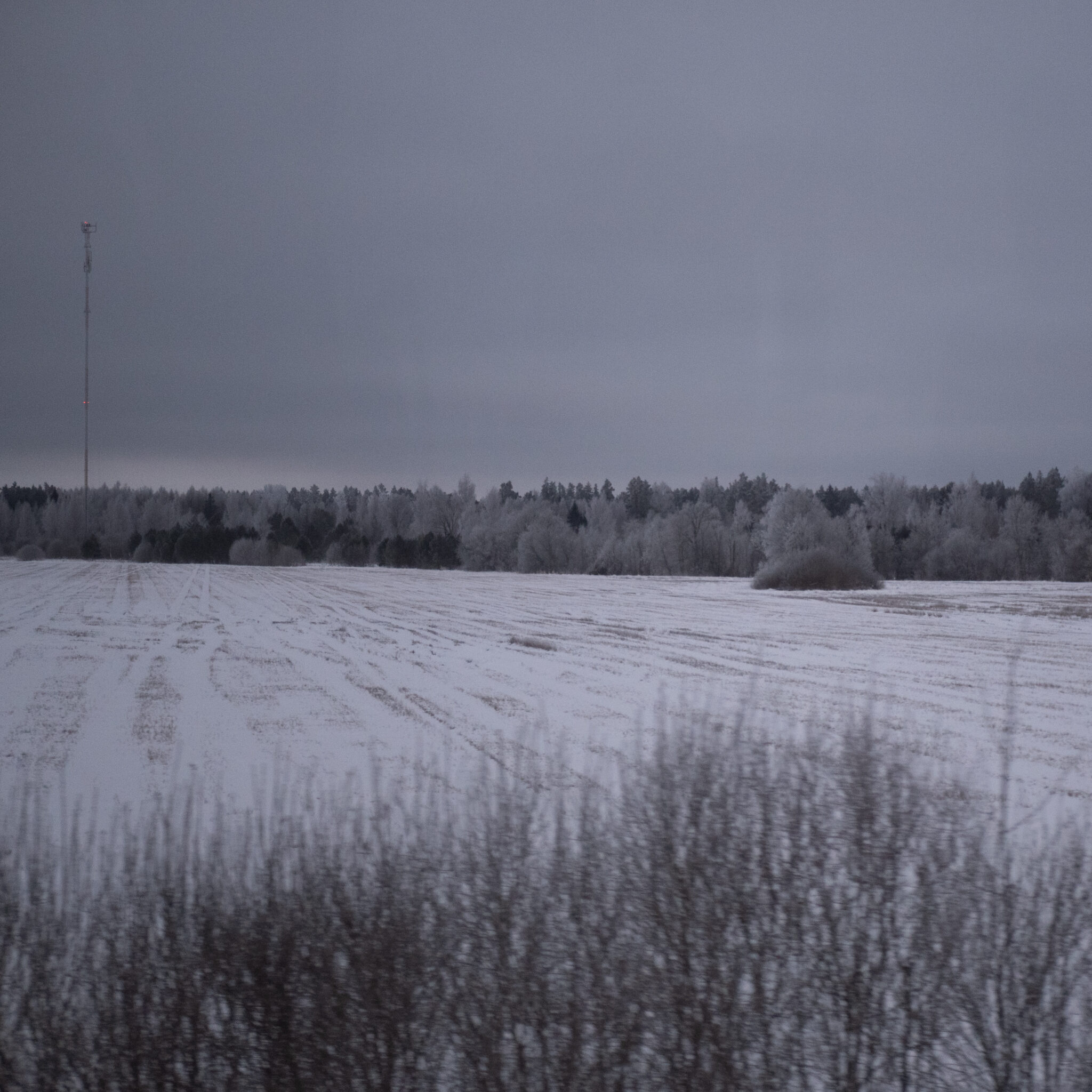 Lumine väli kõrge torni ja kauguses paistvate puudega.