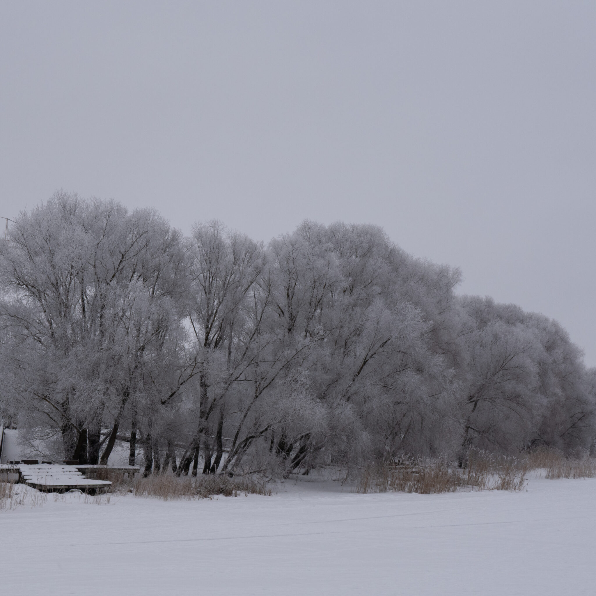 Talvine maastik lumega kaetud puudega.