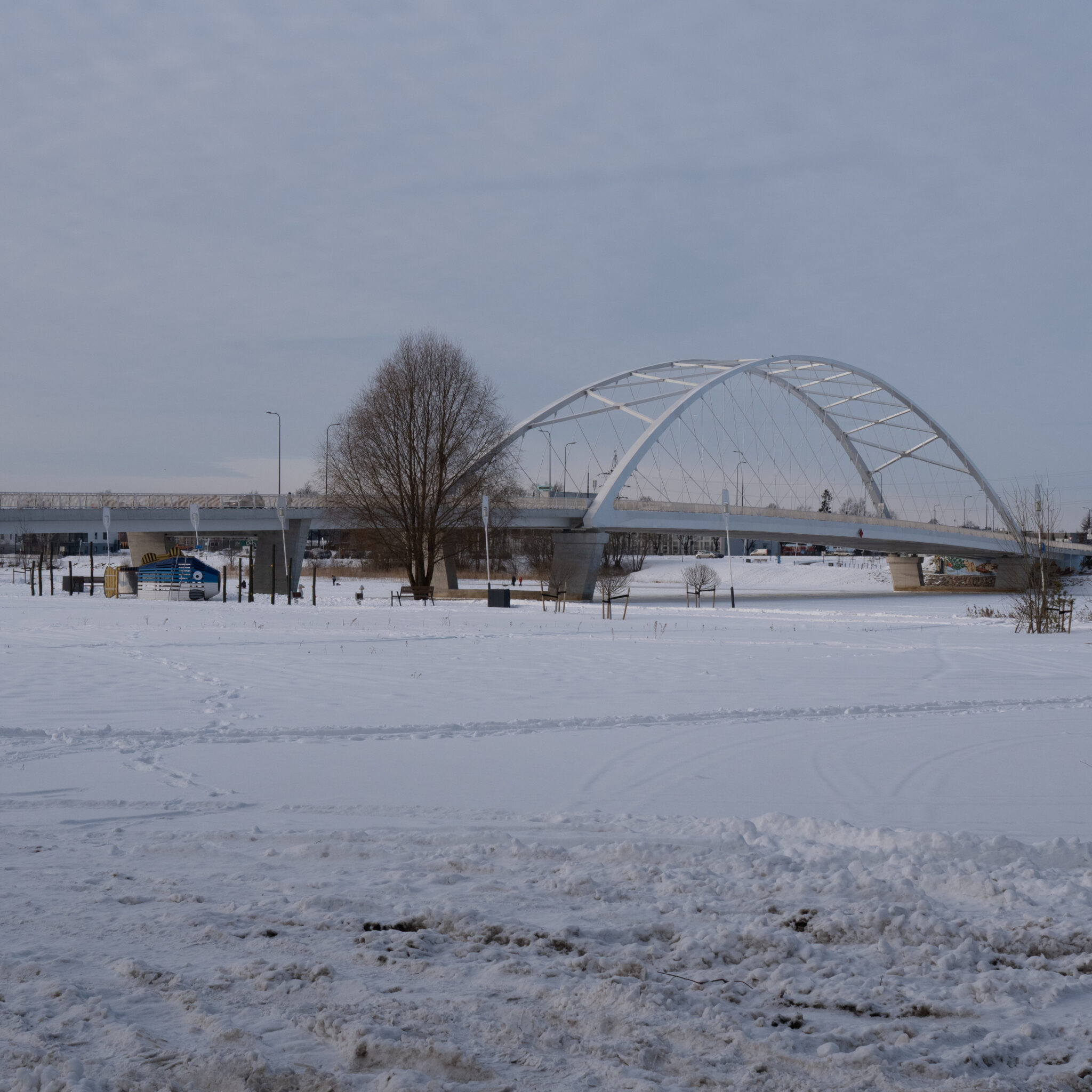 Lumega kaetud sild, esiplaanil üksik puu.